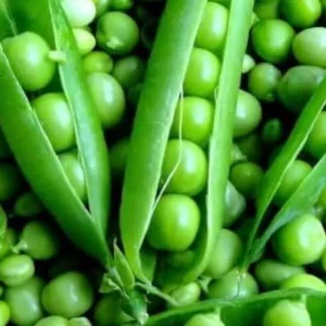 Peas hybrid