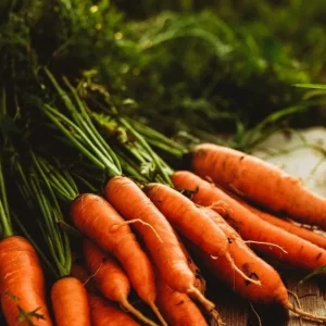 Hybrid carrot (Namibia F1)