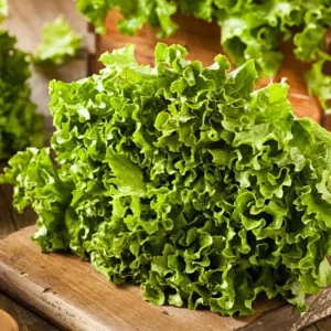 Grand King F1 Hybrid